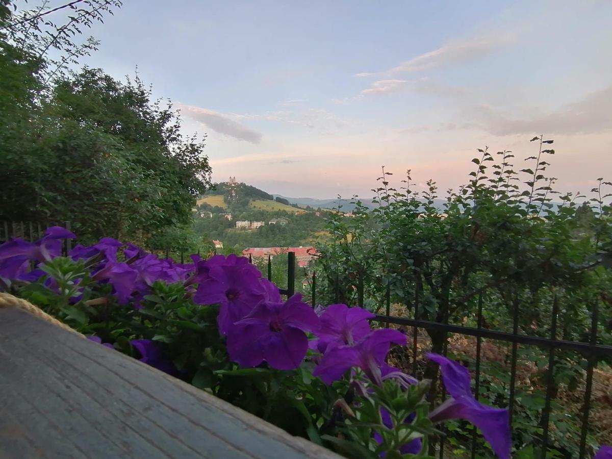 Aura Banska Stiavnica