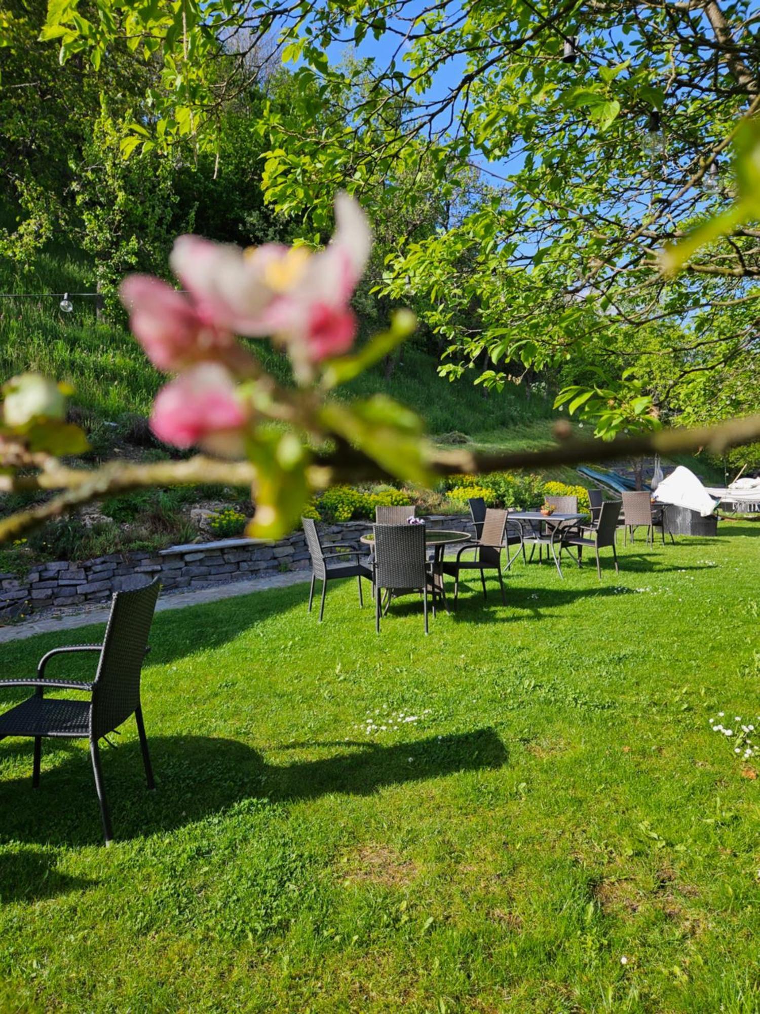 Guest house Aura Banska Stiavnica